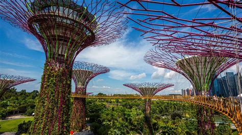 Gardens by the Bay, Supertrees - Greenroofs.com