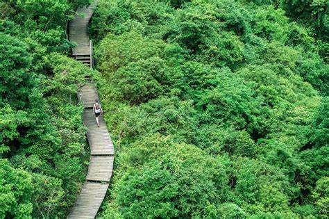 Things To Do on Lantau Island, Hong Kong | Solitary Wanderer
