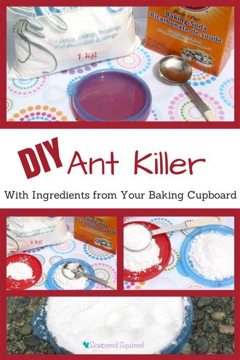 Say 'So Long' to Ants with this Easy DIY Ant Killer - Scattered Squirrel