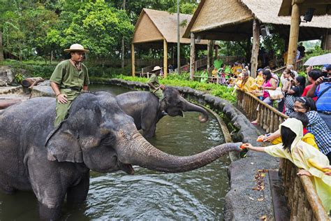 Eight Awesome Zoos in Southeast Asia