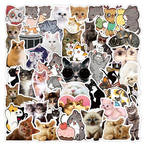 Cat graffiti sticker - Ginger Cat Company