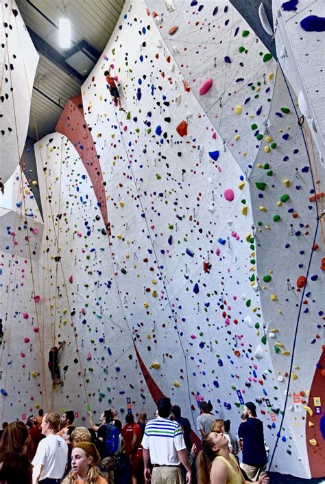 Climbing 101: Learning to Climb Indoors - Welcome to the Vertical Extreme!