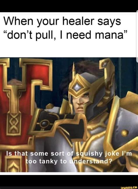 Wow Classic Paladin Meme