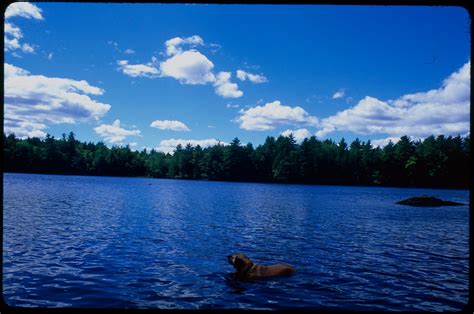 American Vernacular Landscapes: vienna, maine, 1999