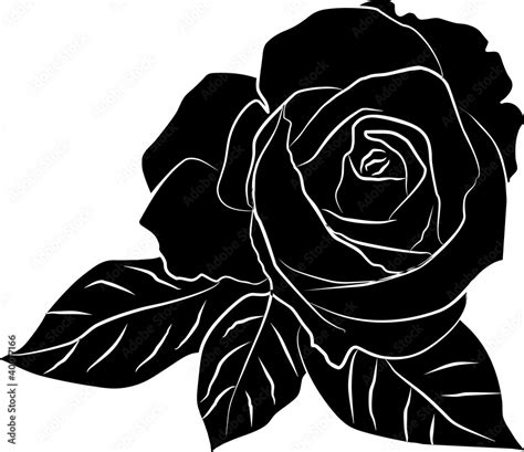 black rose silhouette - freehand, vector illustration Stock Vector | Adobe Stock