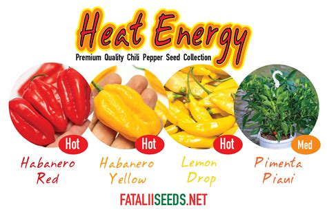 Heat Energy (Seed Kit) » Fatalii Seeds