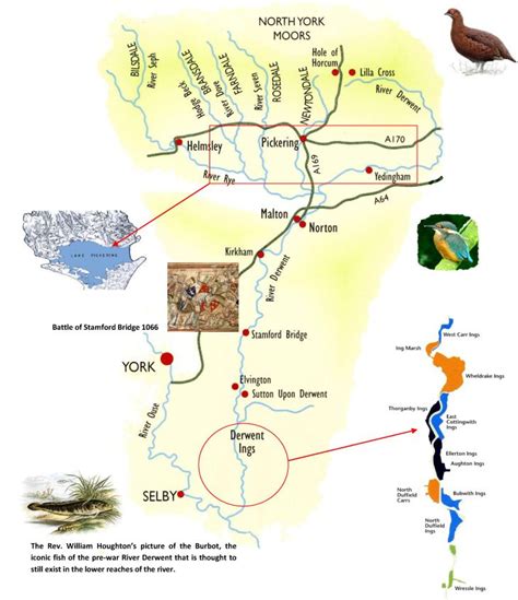 A map showing the River Derwent. | Derwent, River, Yorkshire