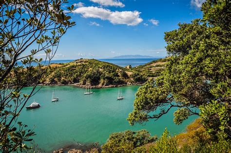 Hiking Your Own Trail on Waiheke Island