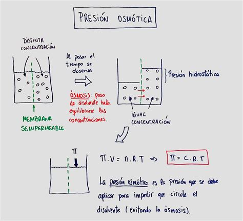 Presión osmótica | Física Química