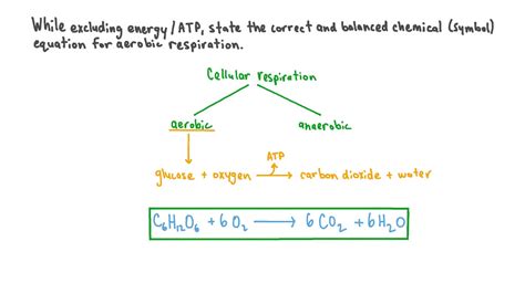 Aerobic Respiration Equation