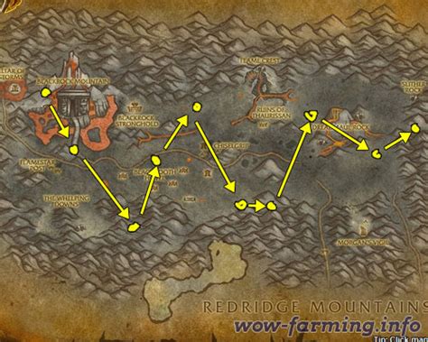 Farming Black Lotus | WoW Farming