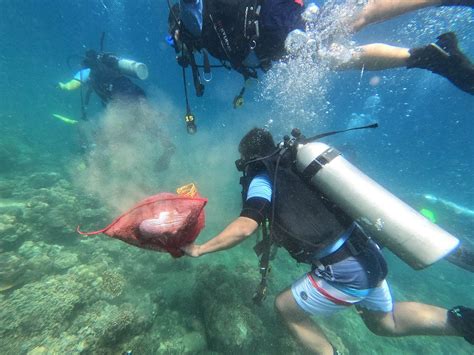 Mga basura nakuha sa ilalim ng dagat - Iba’t ibang uri ng basura sa ilalim ng dagat sa isang ...