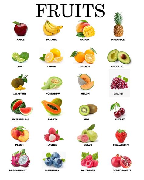 Instant Download Printable Fruits Educational Poster Montessori Waldorf Teaching - Etsy | Fruit ...