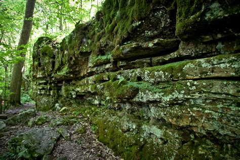 Hiking Hemlock Ridge Trail At Charleston Lake Provincial Park - Watch ...