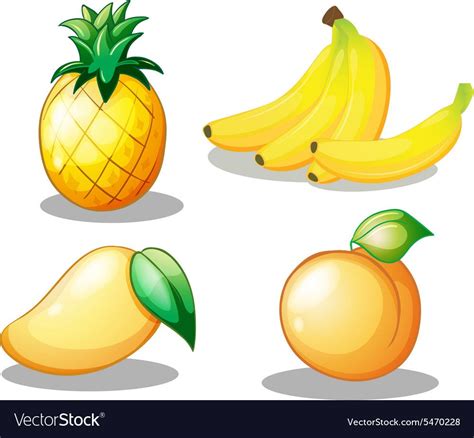 Flashcard of yellow color set with four fruits on white background. Download a Free Preview or ...