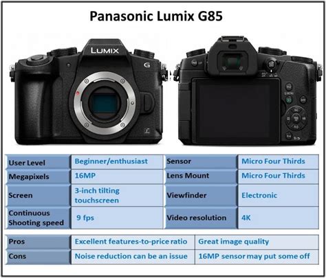 9-PANASONIC LUMIX G85 | Ehab Photography