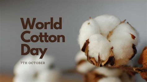 World Cotton Day 2022 is celebrated on October 7