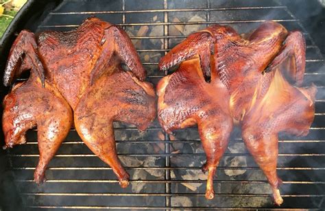 Traeger Smoked Pheasant Recipes | Besto Blog