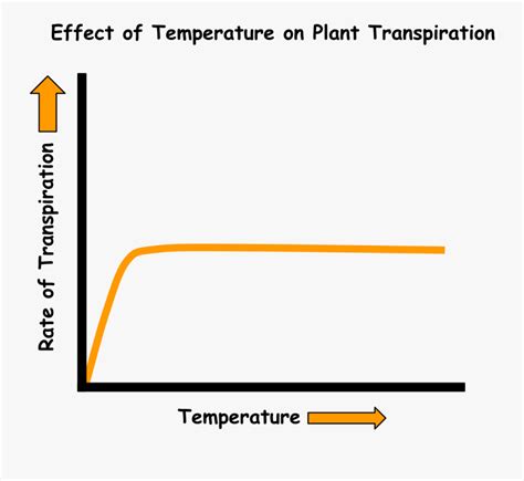 Rate Of Transpiration In Temperature Diagram , Free Transparent Clipart - ClipartKey