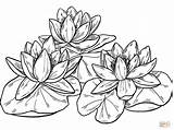 Claude Monet Free Coloring Pages sketch template