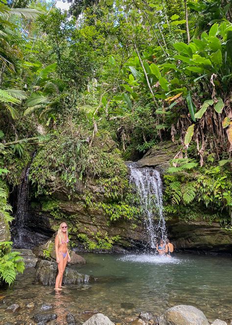 Visiting El Yunque National Forest: Everything You Need To Know | Pommie Travels