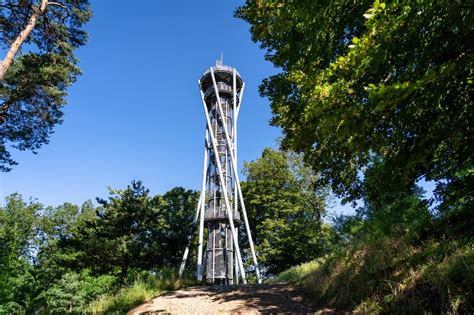 Erlebnis Schlossberg | Freiburg Tourismus