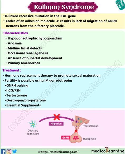 Kallmann syndrome – MedicoLearning