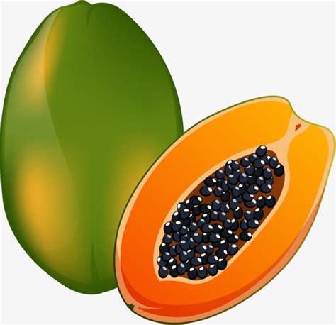 papaya clipart png 10 free Cliparts | Download images on Clipground 2024