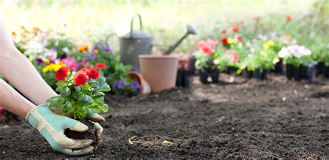 Yard Clean Up? Protect Your Hands with These Tips - Axes PT Blog