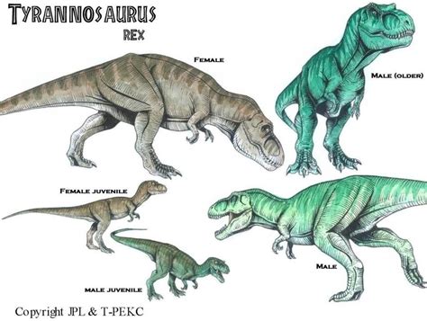 Tyrannosaurus ("Tyrant Lizard King") | Jurassic world dinosaurs ...