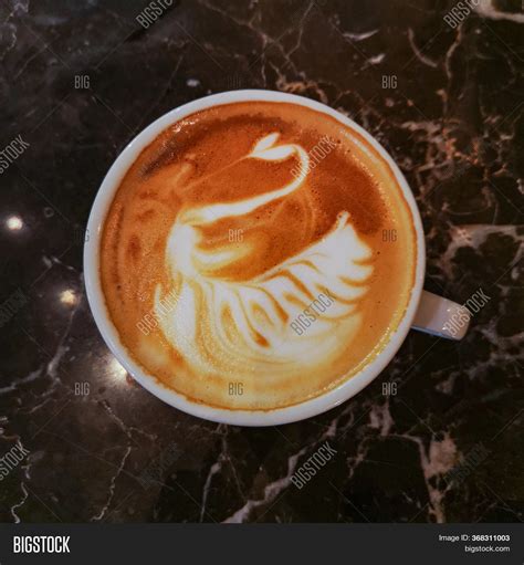 swan latte art pour - Johannesburg Webcast Portrait Gallery