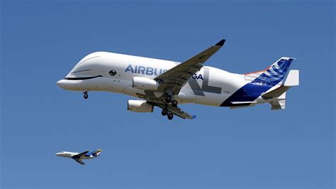 Cómo es el Beluga ST, el avión-ballena que surcó los cielos ...