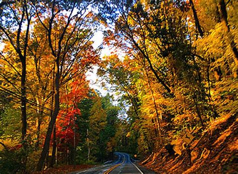 Best road trips for fall foliage in Pennsylvania - pennlive.com