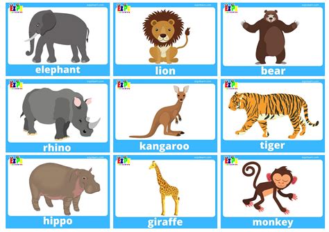 Flashcards For Kids Panda Wild Animals Flashcards For - vrogue.co