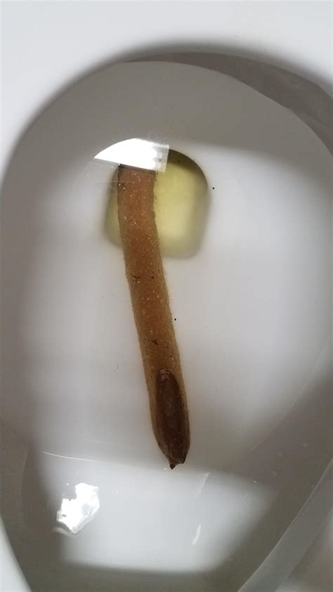 Perfect Poop! Long and No Pieces! : r/ratemypoo