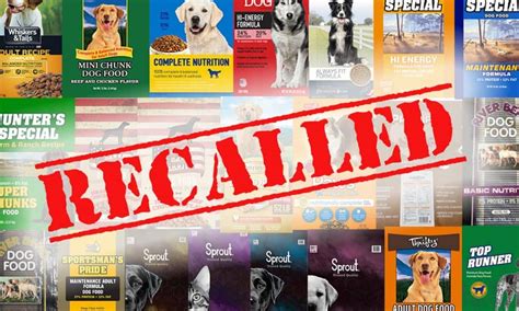 RECALL ALERT: 21 Pet Foods Across Multiple Brands Recalled over ...