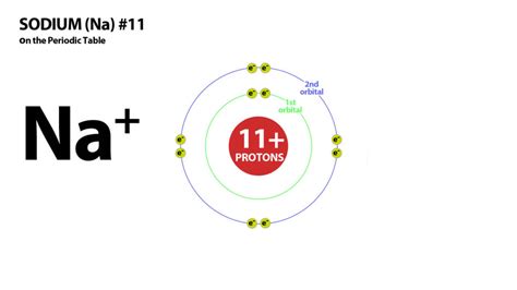 Sodium Bohr Model How To Draw Bohr Diagram For Sodium(Na), 53% OFF