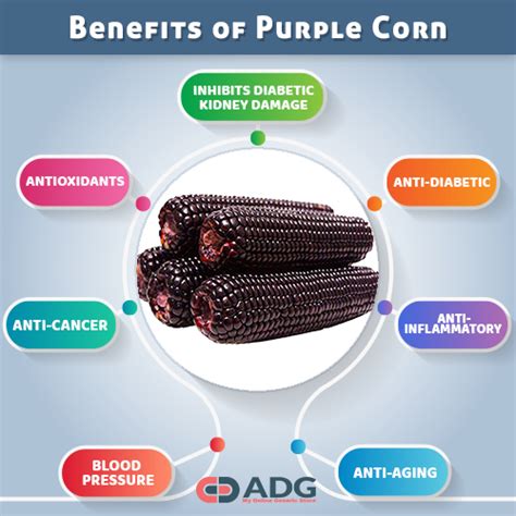 TOP 5 Benefits of Purple Corn | Purple corn, Anti cancer, Purple