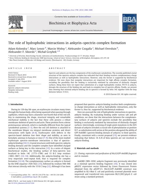 (PDF) The role of hydrophobic interactions in ankyrin-spectrin complex formation