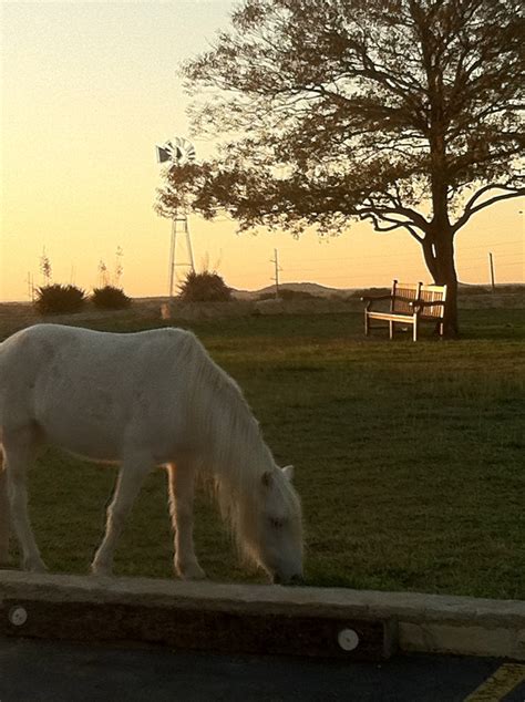 Texas Ranch sunrise | Sunrise sunset, Texas ranch, Sunrise