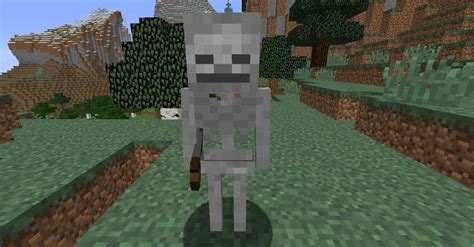 Minecraft Mobs Skeleton