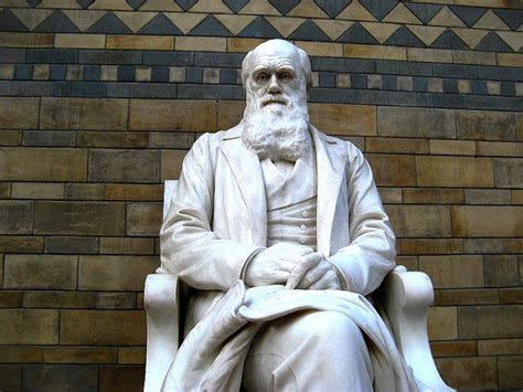 Biography of Charles Darwin - Biography Archive