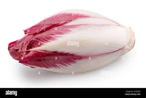 Red endive on white background. File contains clipping path Stock Photo - Alamy