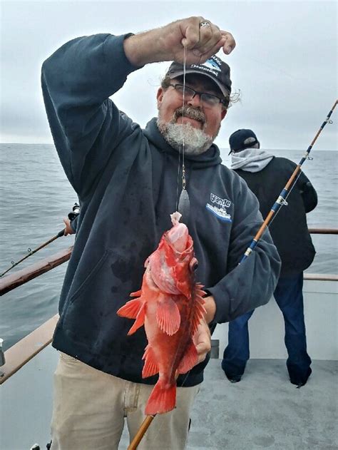 Redondo Beach Sportfishing Fish Counts