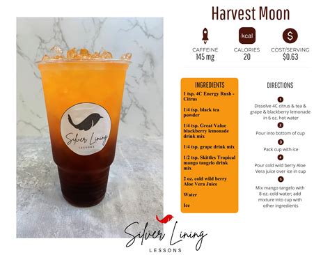 Harvest Moon – Silver Lining Lessons