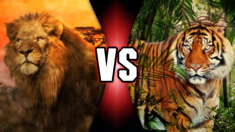 Lion vs Tiger by ConnorDiesel on DeviantArt