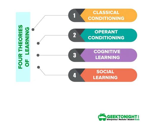 4 Theories Of Learning | Classical, Operant Conditioning, Social, Cognitive