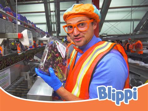 Watch Blippi - Blippi's Educational Adventures for Kids | Prime Video