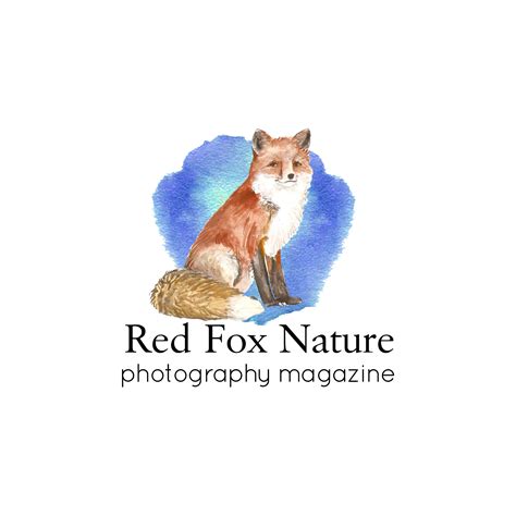 ANNUAL PHOTOGRAPHY CONTEST | Photo Contest Insider