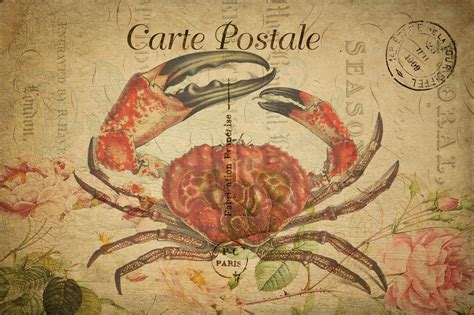 Crab Vintage Postcard Free Stock Photo - Public Domain Pictures